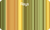 Rays