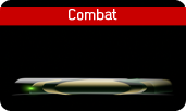 Combat