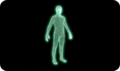 Holographic Human