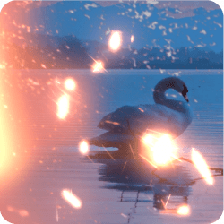 Light Transitions Pack 4.0 (4K)